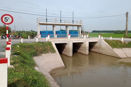 TP HCM: 2 đơn vị cạnh tranh gói thầu xây dựng các tuyến đê bao trên địa bàn huyện Hóc Môn trị giá gần 80 tỷ đồng