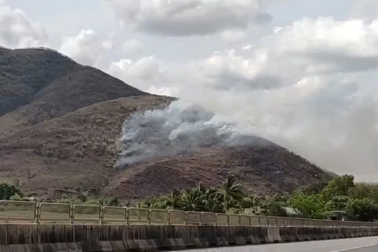 Bình Thuận: Cháy lớn trên núi Tà Dôn