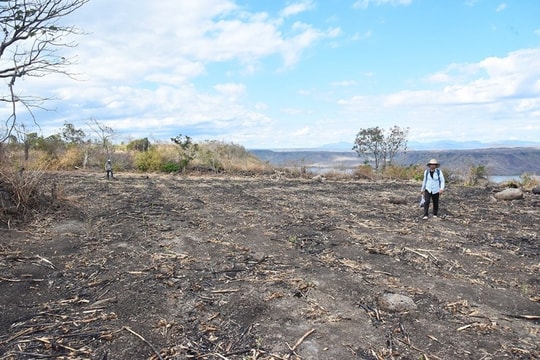 Thăm dò, khai quật khảo cổ di tích Plei Ring ở Gia Lai