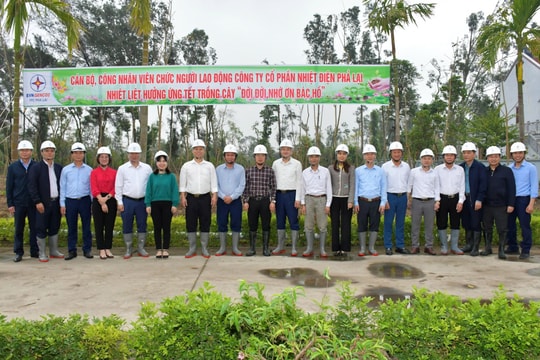 Nhiệt điện Phả Lại hưởng ứng phong trào Tết trồng cây, góp phần bảo vệ môi trường