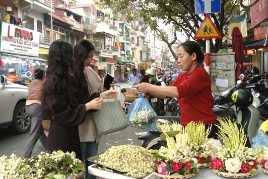 Hoa bưởi tỏa hương nơi phố phường tấp nập