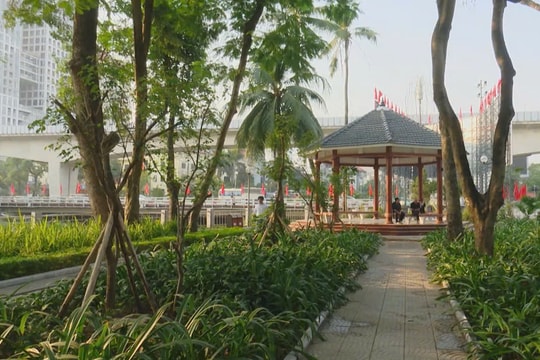 Tái sinh không gian bỏ trống thành công viên xanh cho người dân