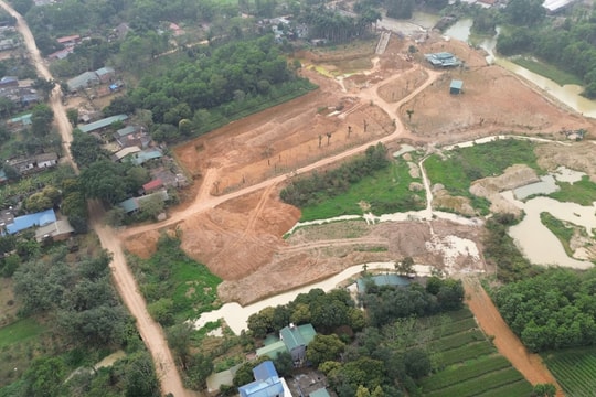 Hà Nội chỉ đạo khẩn trương kiểm tra, làm rõ vi phạm đất đai tại xã Thạch Hòa, huyện Thạch Thất