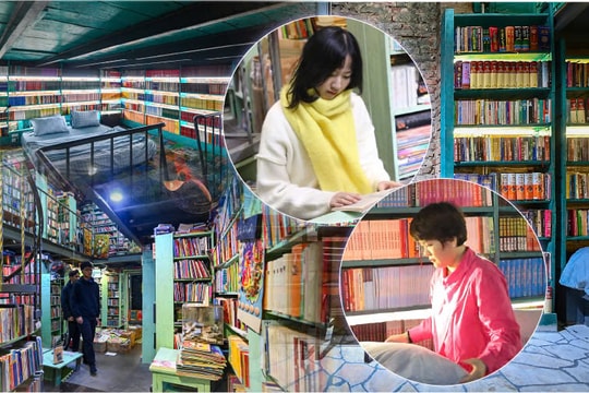 Từ "thiên đường sách" đến homestay độc đáo giữa lòng Hà Nội