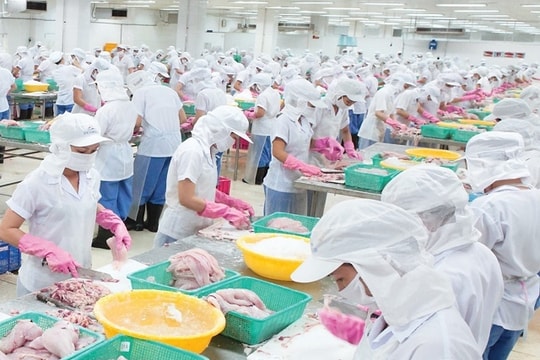 Thủy sản Mekong (AAM) đặt mục tiêu hòa vốn năm 2025 sau khoản lỗ 6,29 tỷ đồng