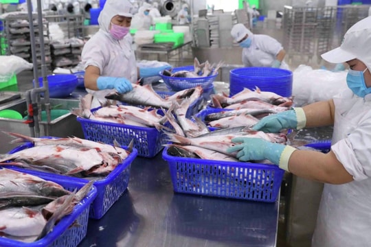 Tồn kho cao kỷ lục, Vĩnh Hoàn (VHC) thế chấp đất để vay 2.085 tỷ tại ngân hàng