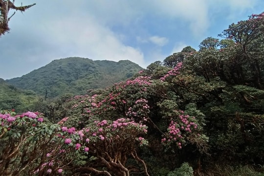 Chuỗi hoạt động đặc sắc tại Lễ hội Putaleng huyện Tam Đường lần thứ II