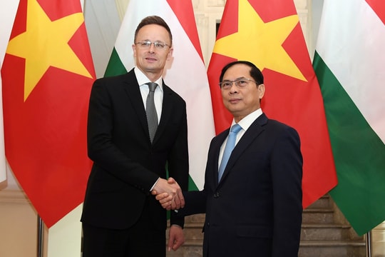 Khuyến khích doanh nghiệp Hungary đẩy mạnh đầu tư vào Việt Nam