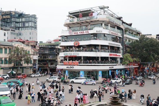 Lưu lại những khoảnh khắc cuối với "Hàm cá mập"