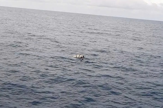 Vụ chìm tàu cá tại Nghệ An: Tìm thấy ngư dân đầu tiên