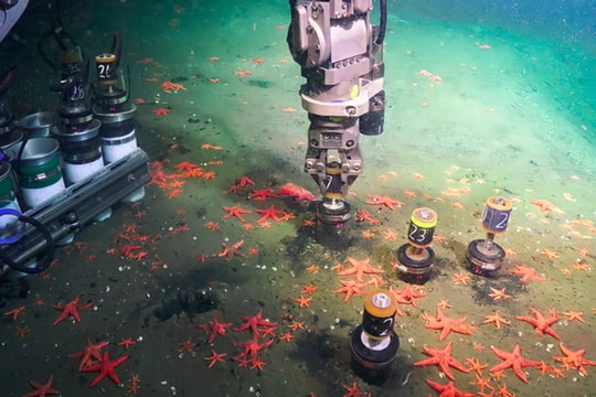 Phát hiện kho báu 26 tỷ USD ở Nhật Bản gây chấn động châu Á