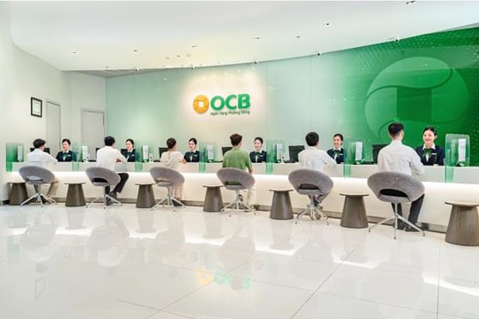 OCB công bố BCTC kiểm toán 2024, lợi nhuận trước thuế đạt 4.006 tỷ đồng