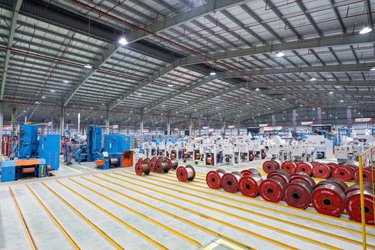 Hai lĩnh vực mang lại 'lợi nhuận khủng' và dài hạn cho GELEX