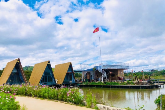 Gia Lai: Ngang nhiên đổ đường bê tông đến tận ruộng để mở Famstay trái phép