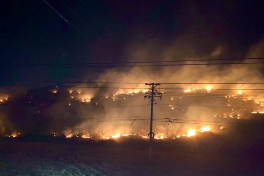 Đã kịp thời khống chế đám cháy cực lớn trên Núi Tàu (Bình Thuận)