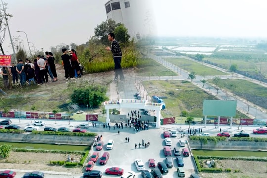 Giá BĐS có thể giảm sau sáp nhập tỉnh thành, nhà đầu tư cẩn trọng theo tâm lý đám đông