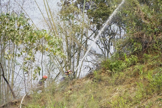 Lửa cháy lan lên đồi rừng do bất cẩn khi đốt rác