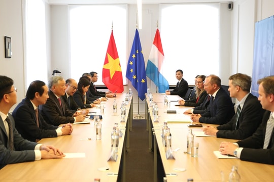 Việt Nam - Luxembourg: Sớm ký kết Bản ghi nhớ về hợp tác xây dựng trung tâm tài chính quốc tế