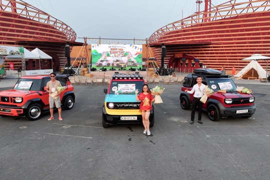 Những chiếc minicar VinFast giành giải tại ngày hội lớn của cộng đồng VF 3