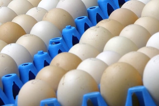 Mỹ nhập khẩu trứng từ Hàn Quốc, Thổ Nhĩ Kỳ để hạ nhiệt giá cả