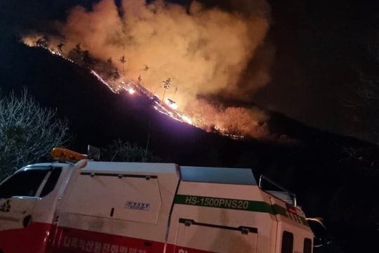 Cháy rừng tại Hàn Quốc khiến 4 người thiệt mạng, hàng trăm người phải sơ tán