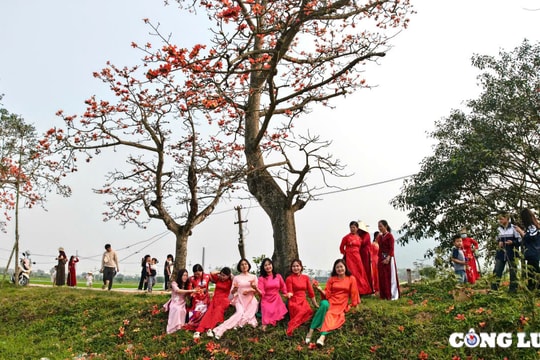 Người dân đổ xô 'check in' trên con đường hoa gạo tuyệt đẹp ngoại thành Hà Nội