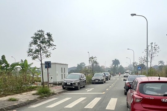 'Cò' đất 'sống lại', đất nền có xu hướng tăng 'nóng'