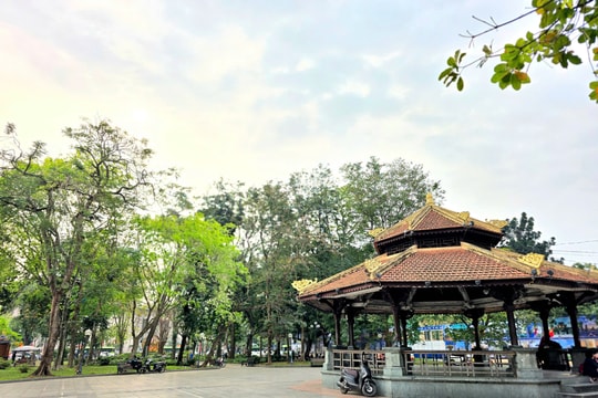 Hà Nội: Vườn hoa Lý Thái Tổ sẽ có 114 cây bóng mát sau cải tạo