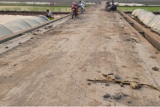 Hà Nội: Xây dựng Huy Cường trúng thầu 'dày đặc' tại huyện Ba Vì với giá trị tiết kiệm thấp