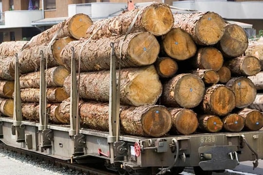 Ba Lan chặn xuất khẩu gỗ Ukraine