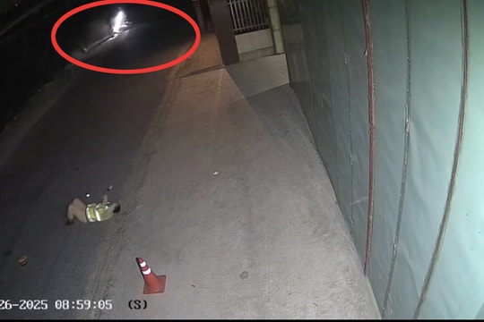 'Thông chốt' nồng độ cồn, nam thanh niên tông Cảnh sát giao thông gãy 2 xương sườn