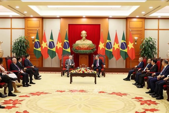 Phát huy tiềm năng hợp tác song phương giữa Việt Nam - Brazil