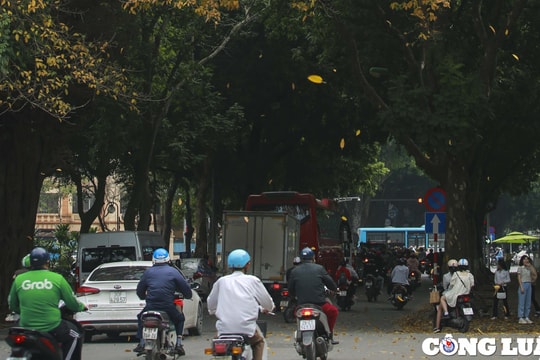 Hà Nội: Thí điểm điều chỉnh giao thông trên phố Hoàng Hoa Thám, Ngọc Hà