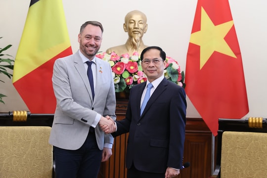 Việt Nam và Bỉ cần tận dụng tốt cơ hội to lớn từ Hiệp định Thương mại tự do Việt Nam - EU