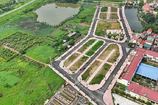Tháng 4/2025, nhiều huyện ngoại thành Hà Nội ồ ạt đấu giá đất