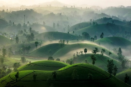 Phú Thọ kích cầu du lịch bằng việc giảm giá dịch vụ đến 30%