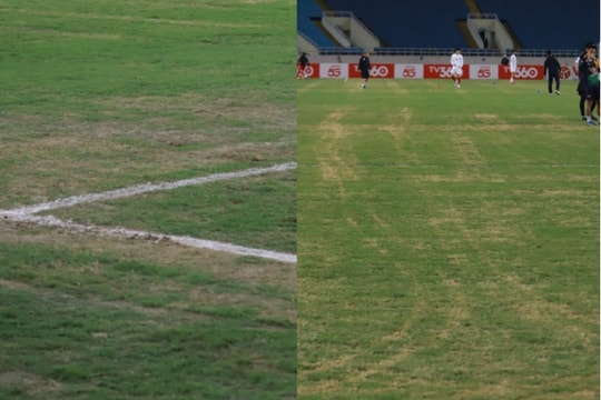 VPF sẽ tiến hành kiểm tra chất lượng mặt cỏ sân Mỹ Đình