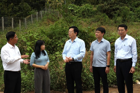 Phó Thủ tướng Mai Văn Chính kiểm tra các công trình trọng điểm tại Khánh Hòa