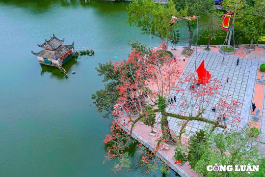 Rực rỡ sắc đỏ hoa gạo ở ngôi chùa cổ ngoại thành Hà Nội