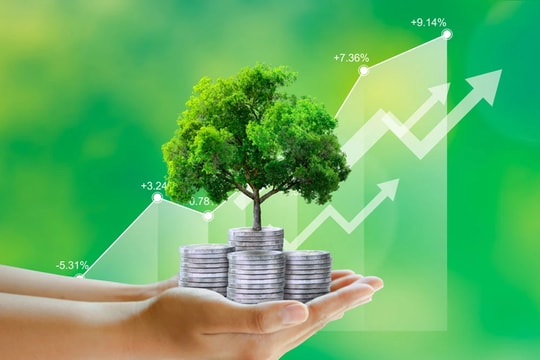 Cơ quan báo chí nỗ lực truyền thông về môi trường, hướng tới phát triển kinh tế xanh