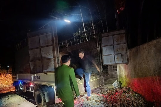 Thanh Hoá: Bắt đối tượng đi ô tô trộm cắp 2 con trâu