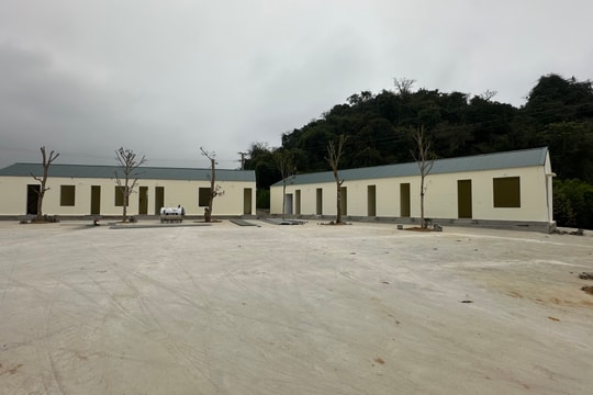 Thanh Hóa: Công ty chế biến lâm sản Thanh Lâm xây dựng công trình khi chưa được giao đất