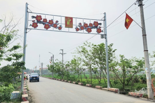 Yên Lạc (Vĩnh Phúc): Cần kiểm tra quá trình thực hiện dự án chỉnh trang đô thị tại xã Trung Nguyên