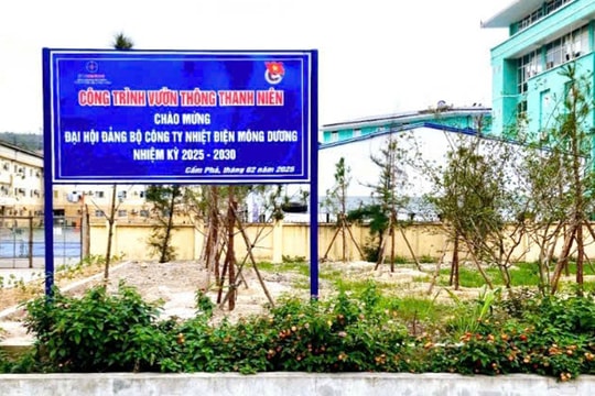 Phát huy sức trẻ của đoàn viên thanh niên Công ty Nhiệt điện Mông Dương