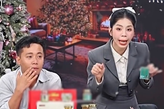 Khởi tố, bắt giam Quang Linh Vlogs và Hằng Du Mục