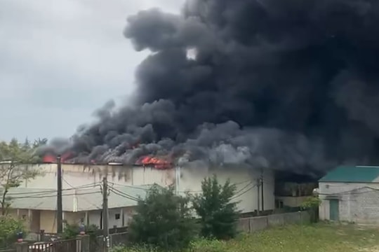 Quảng Trị: Cháy lớn tại công ty thủy sản, cột khói đen bao trùm