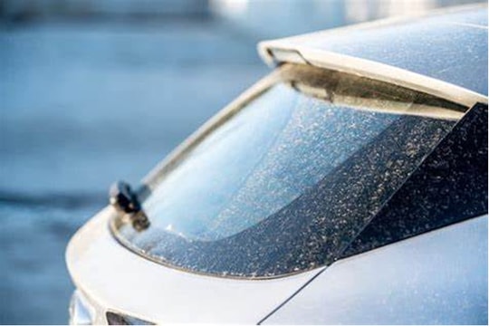 Phấn hoa có gây hại cho xe của bạn không?