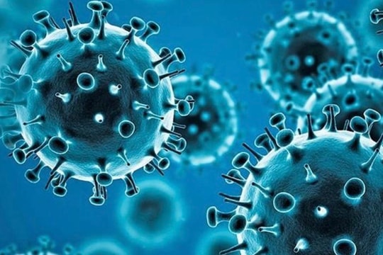 WHO thông tin về căn bệnh ho ra máu ở Nga