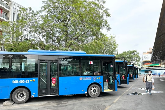 TP HCM: Tìm đơn vị cung ứng dịch vụ xe buýt có trợ giá tại 5 gói thầu tổng giá trị hơn 500 tỷ