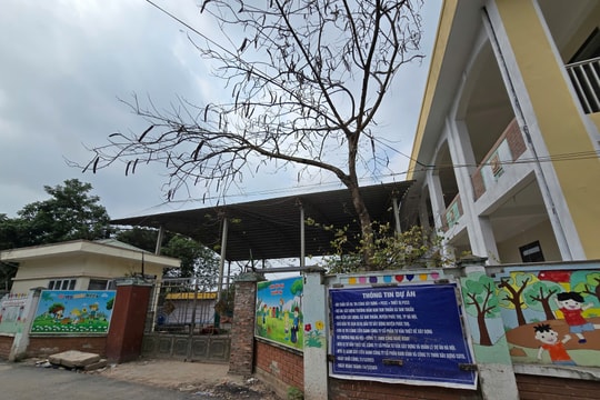 Phúc Thọ (Hà Nội): Dấu hiệu chậm tiến độ tại dự án Trường mầm non Tam Thuấn?